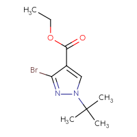 Chemical structure of ethyl 3-bromo-1-tert-butyl-1H-pyrazole-4-carboxylate - CSSB00000698877