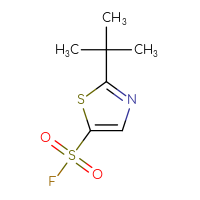 Chemical structure of 2-tert-butyl-1,3-thiazole-5-sulfonyl fluoride - CSSB00102679339