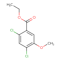 C10H10Cl2O3
