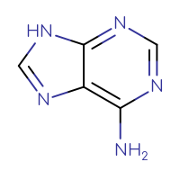 C5H5N5