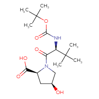 C16H28N2O6