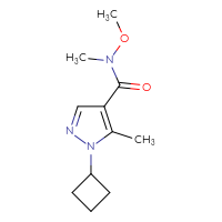 Chemical structure of 1-cyclobutyl-N-methoxy-N,5-dimethyl-1H-pyrazole-4-carboxamide - CSSB01213301119