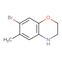 Chemical structure of 7-bromo-6-methyl-3,4-dihydro-2H-1,4-benzoxazine - CSSB00010108537
