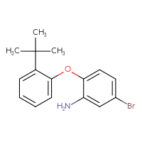 Chemical structure of 5-bromo-2-(2-tert-butylphenoxy)aniline - CSSB00042219690