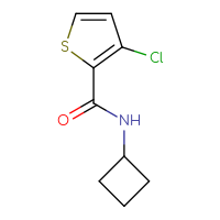 Chemical structure of 3-chloro-N-cyclobutylthiophene-2-carboxamide - CSSB00015364130