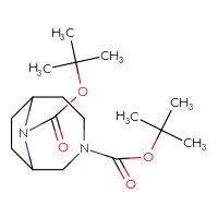 Chemical structure of 3,9-di-tert-butyl 3,9-diazabicyclo[4.2.1]nonane-3,9-dicarboxylate - CSSB00113646057
