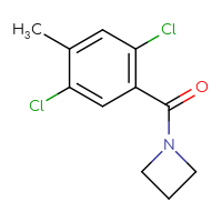 Chemical structure of 1-(2,5-dichloro-4-methylbenzoyl)azetidine - CSSB06676434238