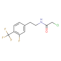 Chemical structure of 2-chloro-N-{2-[3-fluoro-4-(trifluoromethyl)phenyl]ethyl}acetamide - CSSB21332081025