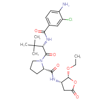 Chemical structure of (2S)-1-[(2S)-2-[(4-amino-3-chlorophenyl)formamido]-3,3-dimethylbutanoyl]-N-[(2R,3S)-2-ethoxy-5-oxooxolan-3-yl]pyrrolidine-2-carboxamide - CSSB00015188131