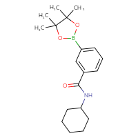 Chemical structure of N-cyclohexyl-3-(4,4,5,5-tetramethyl-1,3,2-dioxaborolan-2-yl)benzamide - CSSB00021085131