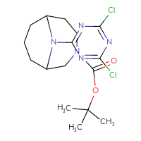 Chemical structure of tert-butyl 10-(4,6-dichloro-1,3,5-triazin-2-yl)-3,10-diazabicyclo[4.3.1]decane-3-carboxylate - CSSB21332154414