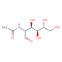 Chemical structure of N-[(2R,3R,4S,5R)-3,4,5,6-tetrahydroxy-1-oxohexan-2-yl]acetamide - CSSB00016300205