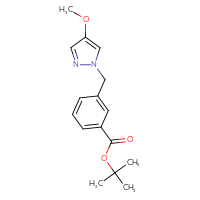 Chemical structure of tert-butyl 3-[(4-methoxy-1H-pyrazol-1-yl)methyl]benzoate - CSSB01915818636