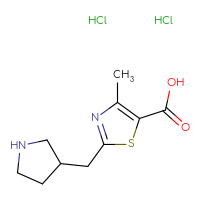 Chemical structure of 4-methyl-2-[(pyrrolidin-3-yl)methyl]-1,3-thiazole-5-carboxylic acid dihydrochloride - CSSB00116210308
