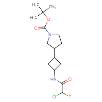 Chemical structure of tert-butyl 3-[3-(2-chloro-2-fluoroacetamido)cyclobutyl]pyrrolidine-1-carboxylate - CSSB21332125432
