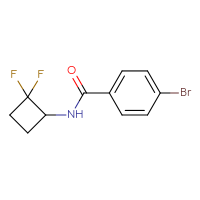 Chemical structure of 4-bromo-N-(2,2-difluorocyclobutyl)benzamide - CSSB06963812110