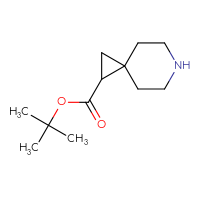 C12H21NO2