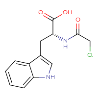 Chemical structure of (2R)-2-(2-chloroacetamido)-3-(1H-indol-3-yl)propanoic acid - CSSB21298174037