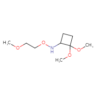 C9H19NO4