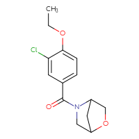 Chemical structure of 5-(3-chloro-4-ethoxybenzoyl)-2-oxa-5-azabicyclo[2.2.1]heptane - CSSB07021484700