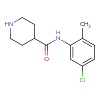Chemical structure of N-(5-chloro-2-methylphenyl)piperidine-4-carboxamide - CSSB00000645676