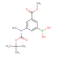 C14H20BNO6