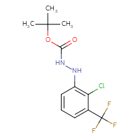 Chemical structure of N'-[2-chloro-3-(trifluoromethyl)phenyl](tert-butoxy)carbohydrazide - CSSB21331811972