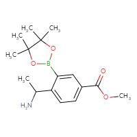C16H24BNO4