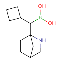 C11H20BNO2