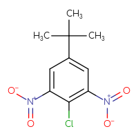 Chemical structure of 5-tert-butyl-2-chloro-1,3-dinitrobenzene - CSSB00000070059