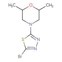Chemical structure of 4-(5-bromo-1,3,4-thiadiazol-2-yl)-2,6-dimethylmorpholine - CSSB00012111914