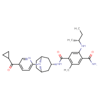 Chemical structure of 5-{[(2R)-butan-2-yl]amino}-N1-[(1R,3R,5S)-8-(5-cyclopropanecarbonylpyridin-2-yl)-8-azabicyclo[3.2.1]octan-3-yl]-2-methylbenzene-1,4-dicarboxamide - CSSB00025704719