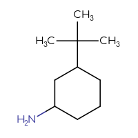 C10H21N