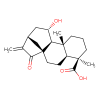 C20H28O4
