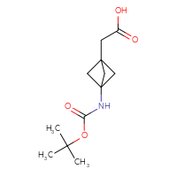 C12H19NO4