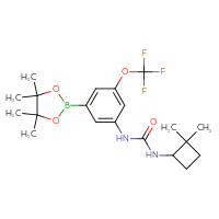 Chemical structure of 3-(2,2-dimethylcyclobutyl)-1-[3-(4,4,5,5-tetramethyl-1,3,2-dioxaborolan-2-yl)-5-(trifluoromethoxy)phenyl]urea - CSSB21332058545