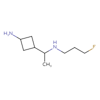 C9H19FN2