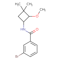 Chemical structure of 3-bromo-N-(2-methoxy-3,3-dimethylcyclobutyl)benzamide - CSSB01975927213
