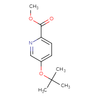 Chemical structure of methyl 5-(tert-butoxy)pyridine-2-carboxylate - CSSB01991727137
