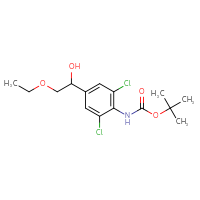 C15H21Cl2NO4