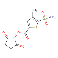 Chemical structure of 2,5-dioxopyrrolidin-1-yl 4-methyl-5-sulfamoylthiophene-2-carboxylate - CSSB20270230595