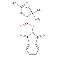 Chemical structure of 1,3-dioxo-2,3-dihydro-1H-isoindol-2-yl (2R)-2-acetamido-3,3-dimethylbutanoate - CSSB00116218961