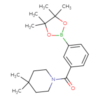 Chemical structure of 4,4-dimethyl-1-[3-(4,4,5,5-tetramethyl-1,3,2-dioxaborolan-2-yl)benzoyl]piperidine - CSSB02229493961