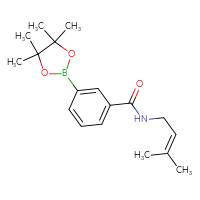 Chemical structure of N-(3-methylbut-2-en-1-yl)-3-(4,4,5,5-tetramethyl-1,3,2-dioxaborolan-2-yl)benzamide - CSSB02166475291