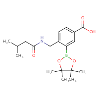 C19H28BNO5