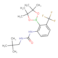 Chemical structure of 3-(2,2-dimethylpropyl)-1-[2-(4,4,5,5-tetramethyl-1,3,2-dioxaborolan-2-yl)-3-(trifluoromethyl)phenyl]urea - CSSB21332057120