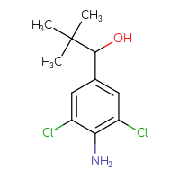 C11H15Cl2NO