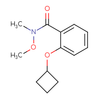 Chemical structure of 2-cyclobutoxy-N-methoxy-N-methylbenzamide - CSSB01995711629