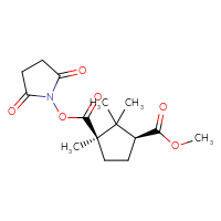 Chemical structure of 1-(2,5-dioxopyrrolidin-1-yl) 3-methyl (1R,3S)-1,2,2-trimethylcyclopentane-1,3-dicarboxylate - CSSB20269602613