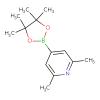 C13H20BNO2